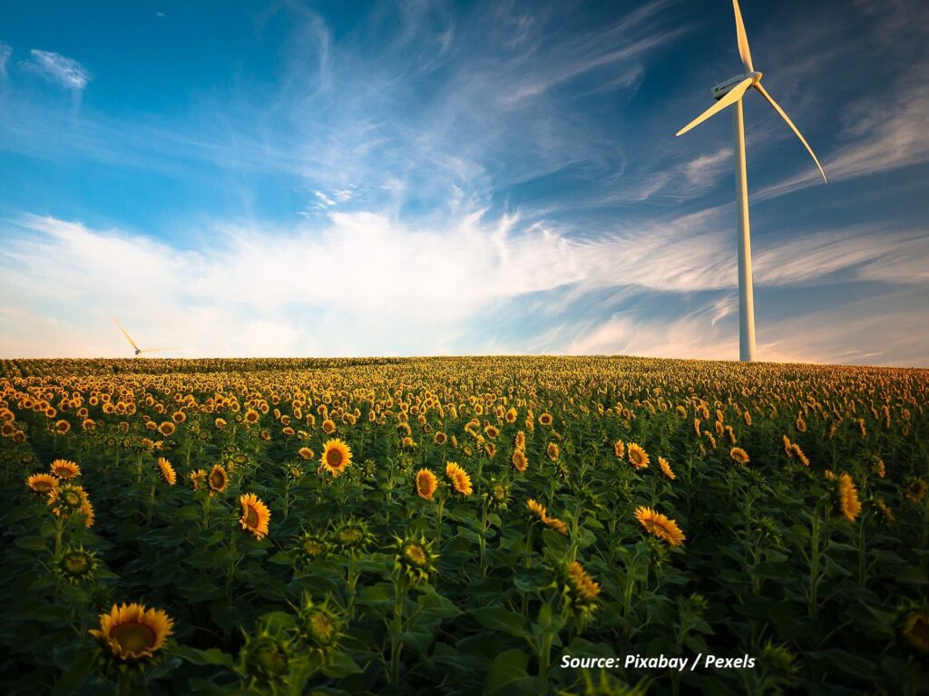 18 terawatt hours of green electricity in August 2021