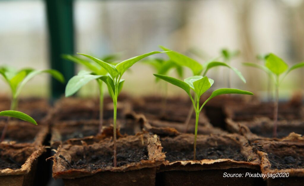 Vertical Farming with Photovoltaics