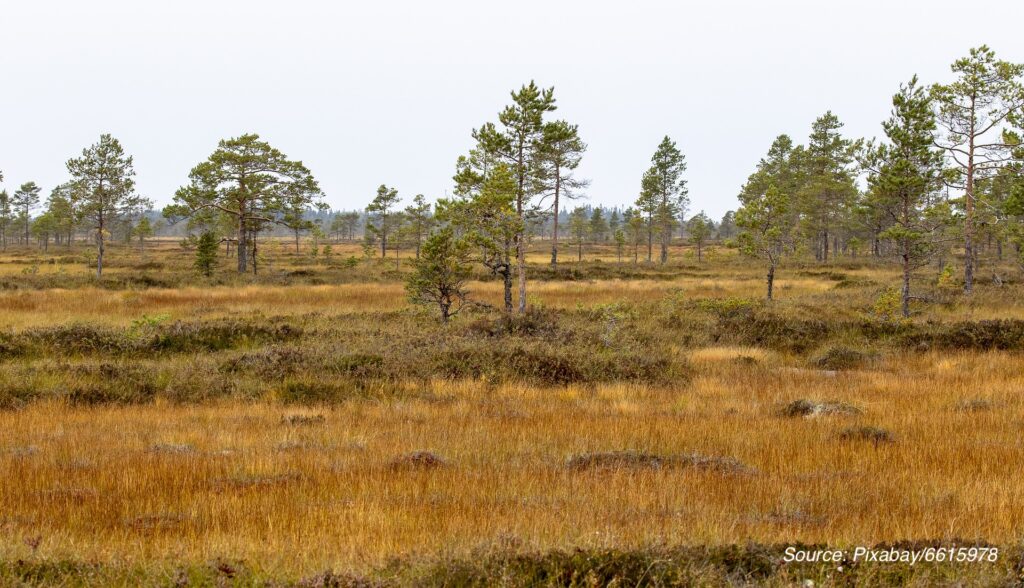 Huge solar park in Finland in planning